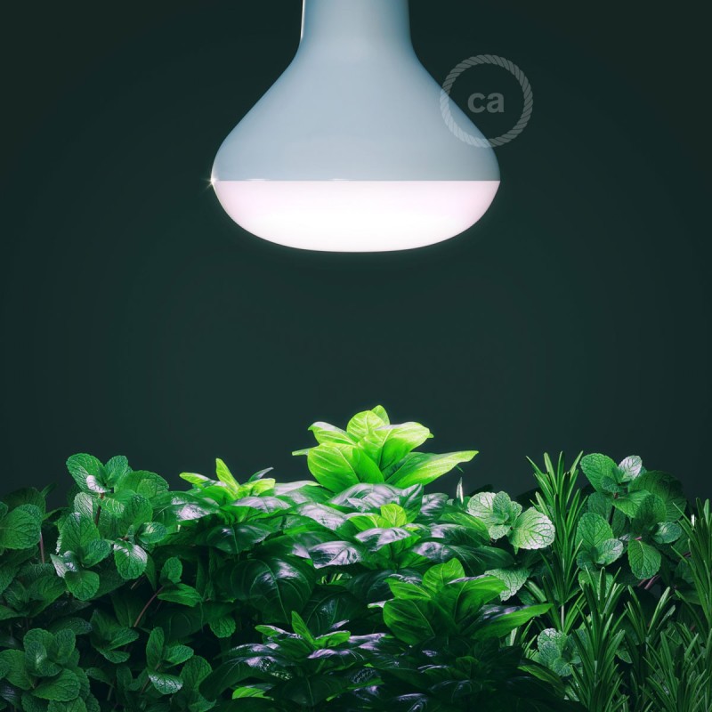 Bombilla LED Crecimiento Plantas Verde 12W E27