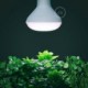 Bombilla LED Crecimiento Plantas Verde 12W E27