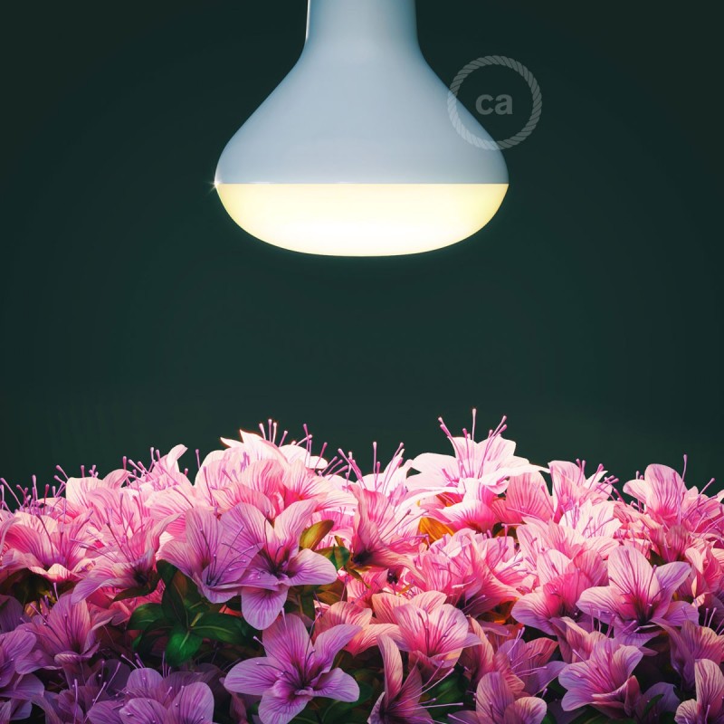 Bombilla LED Florecimiento 12W E27