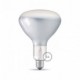 Bombilla filamento Led R125 8W E27 Brillante Regulable